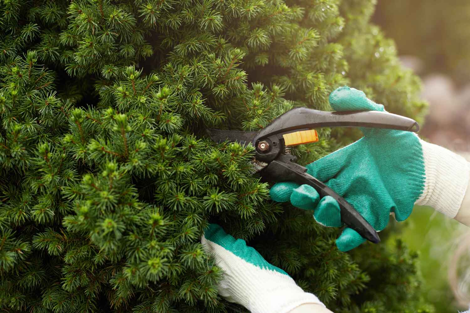 Best Tree Removal for Businesses  in USA